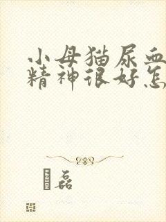 小母猫尿血但是精神很好怎么回事