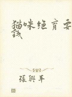 猫咪绝育要多少钱