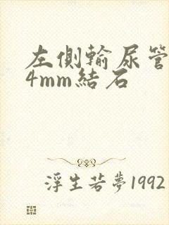 左侧输尿管下段4mm结石