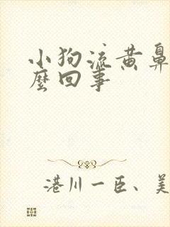 小狗流黄鼻涕怎么回事