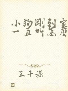 小狗刚到家晚上一直叫怎么办