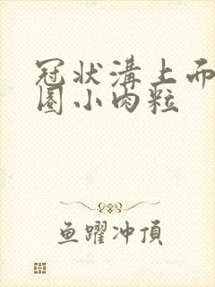 冠状沟上面有一圈小肉粒