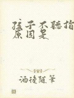 孩子不听指令的原因是