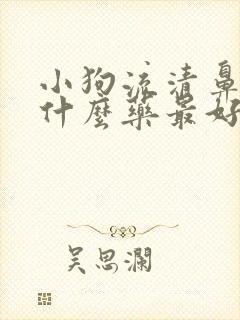 小狗流清鼻涕吃什么药最好呢