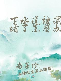 下水道被湿纸巾堵了怎么办