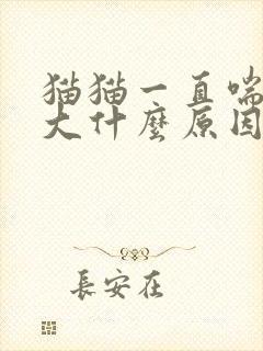 猫猫一直喘气声大什么原因