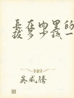 长在肉里的智齿拔多少钱一颗