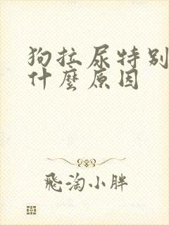 狗拉尿特别黄是什么原因