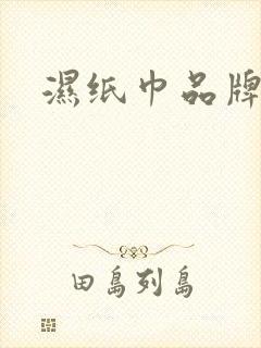 湿纸巾品牌排名