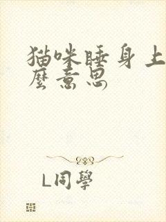 猫咪睡身上是什么意思
