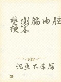 双侧脑内腔隙性梗塞