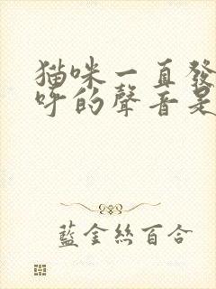 猫咪一直发出呼呼的声音是怎么回事