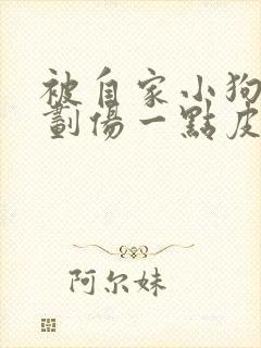 被自家小狗牙齿划伤一点皮出血有事吗