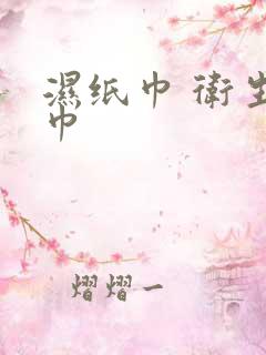 湿纸巾 卫生湿巾