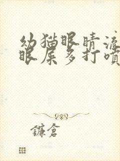 幼猫眼睛流眼泪眼屎多打喷嚏