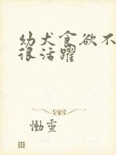 幼犬食欲不振但很活跃