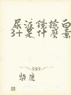 尿液镜检白细胞3+是什么意思