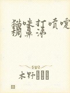 猫咪打喷嚏流浓稠鼻涕