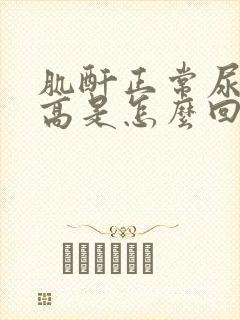 肌酐正常尿蛋白高是怎么回事