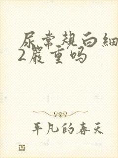 尿常规白细胞52严重吗