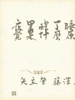 夜里醒了睡不着觉是什么原因