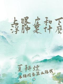 上眼皮和下眼皮浮肿是什么原因