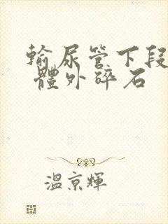 输尿管下段结石 体外碎石