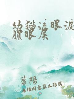 幼猫流眼泪有黄脓眼屎