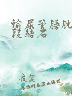 输尿管膀胱壁内段结石