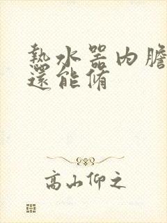 热水器内胆漏水还能修