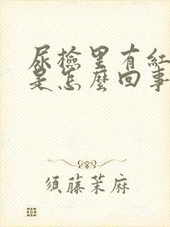 尿检里有红细胞是怎么回事