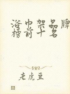 浴巾架品牌排行榜前十名