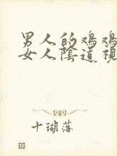 男人的鸡鸡插入女人阴道视频