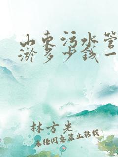 山东污水管道清淤多少钱一米