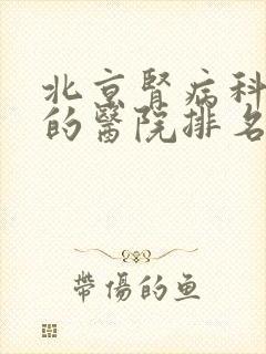 北京肾病科最好的医院排名