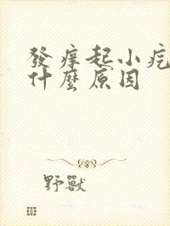 发痒起小疙瘩是什么原因