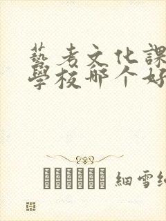 艺考文化课补习学校哪个好