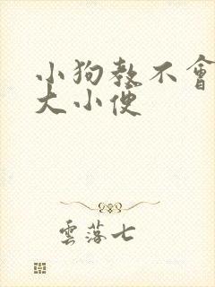 小狗教不会定点大小便