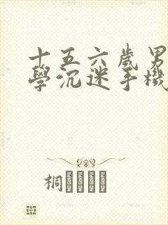 十五六岁男孩厌学沉迷手机怎么办