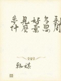 梦见好多剩饭是什么意思周公解梦