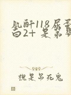 肌酐118尿蛋白2+ 是第几期