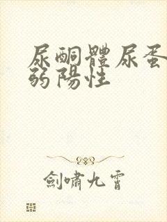 尿酮体尿蛋白质弱阳性