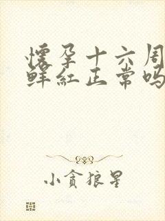 怀孕十六周出血鲜红正常吗