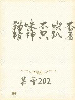 猫咪不吃不喝没精神只趴着,呕吐