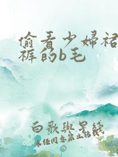 偷看少妇裙底内裤的b毛