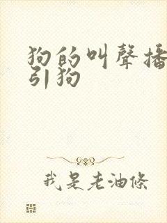 狗的叫声播放吸引狗