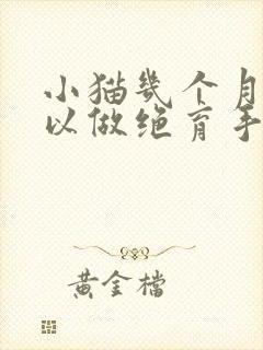 小猫几个月大可以做绝育手术