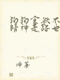 狗狗食欲不振没精神走路也没劲