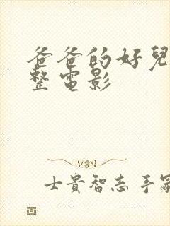 爸爸的好儿子完整电影