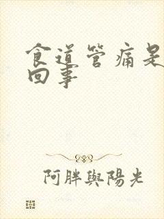 食道管痛是怎么回事